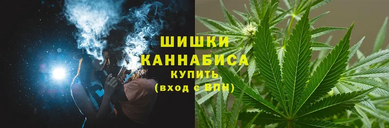 Бошки марихуана Amnesia  Родники 